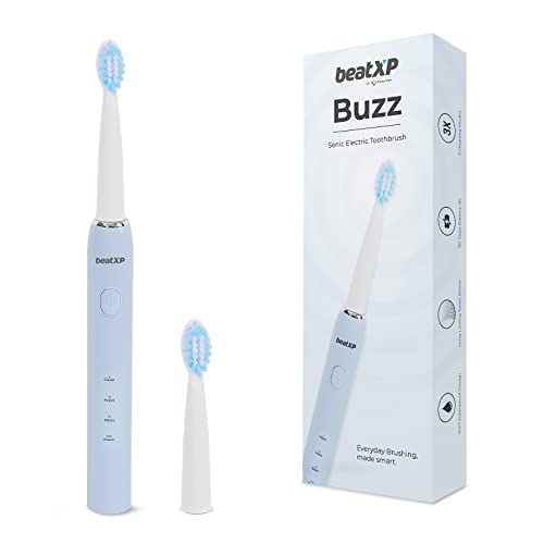 beatXP Buzz Electric Toothbrush for Adults with 2 Brush Heads & 3 Cleaning Modes|Rechargeable Electric Toothbrush with 2 Minute Timer & Quadpacer|19000 Strokes/min with Long Battery Life (Blue)