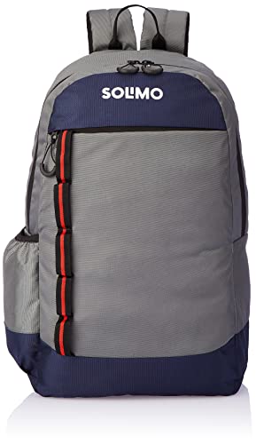 Amazon Brand – Solimo Nylon Backpack, 23 Ltr (GREY/NAVY)