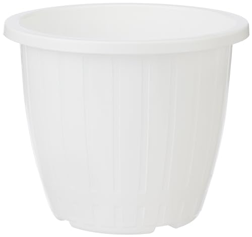 Navratna Gold Ayurvedic Oil |Non Sticky and Non Greasy |Mild Fragrance| Goodness of Almonds and 9 Ayurvedic Herbs |Relieves Body Aches, Sleeplessness, Headache and Fatigue, 500ml