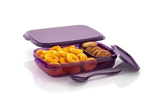 Homeor Airtight Leak Proof Lunch Box with One Spoon & One Small Container, BPA Free Tiffin Containers for Adults & Kids, Tiffin Box, 600 ML, Purple