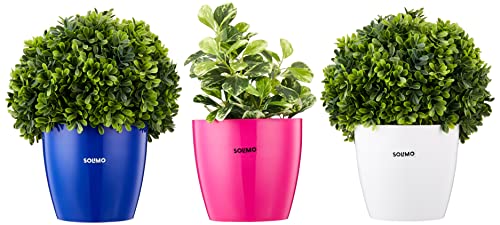 Amazon Brand – Solimo Round Planter, Set of 3 (Pink, Blue, White)