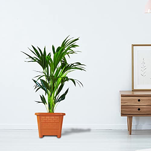 TrustBasket EarthBox-10 Square Plastic Planter Brown (Set of 3) | Heavy Duty Highly Durable Plant Container/Gamla for Indoor Home Decor & Outdoor Balcony Garden