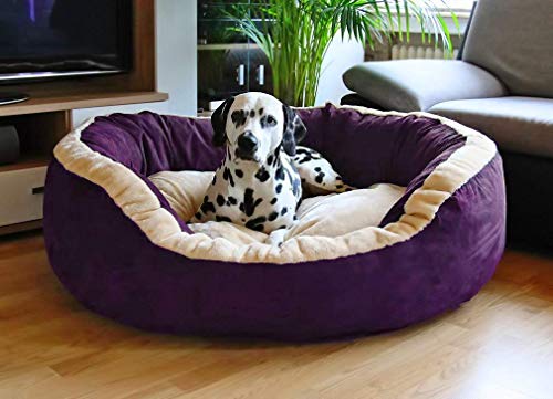 PAWSOME Luxurious & Durable Polyester Filled Soft Dual Colour Dog/Cat Bed (Large, Purpal) L85 X W70 X H25 cm