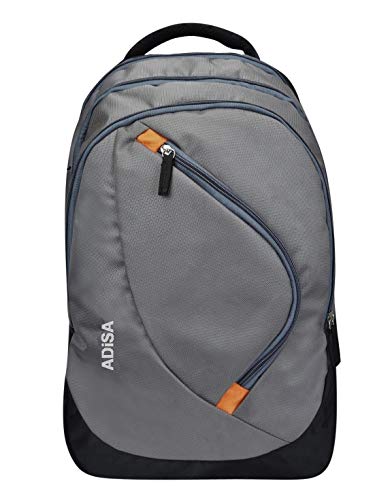 ADISA 32 Ltrs Water Resistant Casual Travel Bagpack/College Backpack/School Office Bag for Men and Women (grey)
