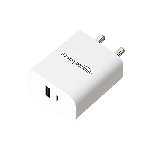 AmazonBasics 24W Phone Charger for Type C Adapter with Fast Charging Without Cable Easy to Carry Dual Output (White)