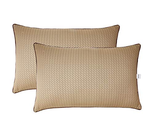 Amazon Brand – Solimo Microfibre & polyester 2-Piece Premium Bed Pillow Set, Microfibre, Brown, 43 X 69 X 17 Cm