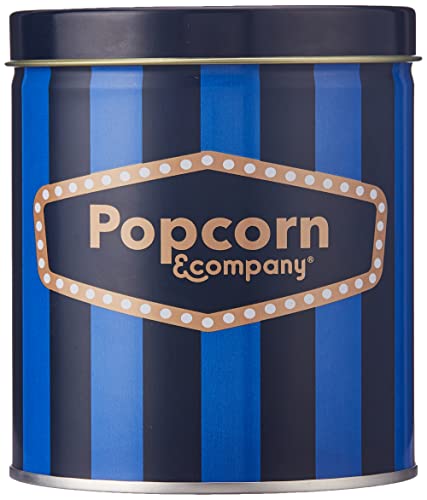 Popcorn & Company Blueberry Flavored Popcorn Regular Tin 130gm
