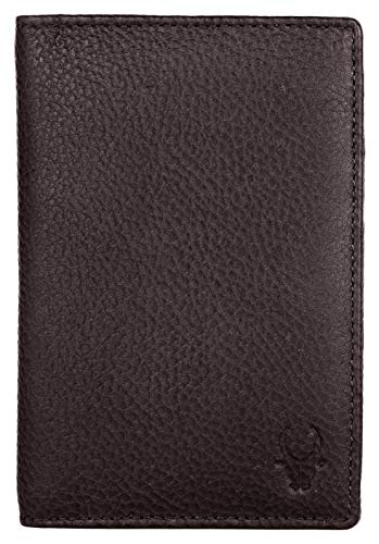 Lakmé Vitamin C+ Serum(30 ml)