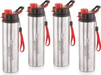 Neelam Stainless Steel 7.5 (22g) PRM Amarpali Glass, 500 ml, 4-Piece, Silver