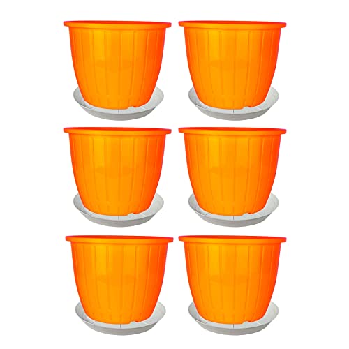 Go HookedPlastic Duro Flower Pot for Gardening, Indoor/Outdoor Planter-Orange (8 Inch)(Pack of 6 with Tray)