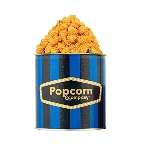 Popcorn & Company Garlic Cheese, Regular Tin -60 gm