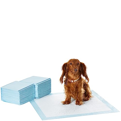amazon basics Pet Training and Puppy Pads with Leak-Proof Quick-Dry Design, Regular – 50 Piece