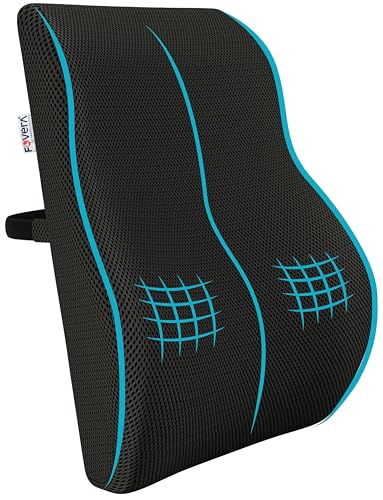 FOVERA Large Back Support for Chair & Car Seat, Orthopedic Lumbar Support Memory Foam Backrest Cushion – Designed for Back Pain Relief – Back Pillow for Comfortable Sitting (Mesh Black)