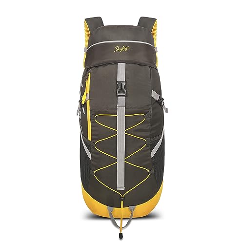 Amazon Brand – Solimo Copper Doctor Bottle, 950 ml