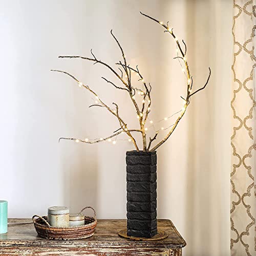 Amazon Brand – Solimo String Lights, Battery-Powered, 10 M (Warm White, 100 LEDs)