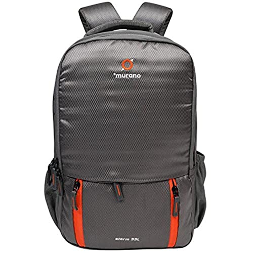 Lifelong Mixer Grinder for Kitchen – 2 Jars 500 Watt – Mixie with Mini Jar for Chutney & Liquidizing Jar used as Wet Grinder & Blender for Milkshake, Smoothie, Puree -Stainless Steel Blades (LLMG93)