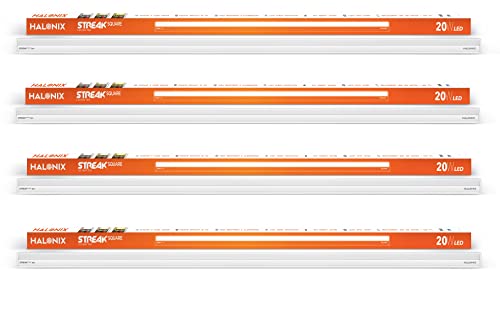 Set Wet Ice Perfume for Men, 100ml|Citrusy Long Lasting Perfume for Men|Gift for Men|Best Everyday Fragrance