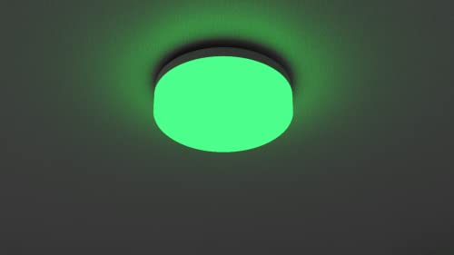 Fossil Men Leather Chronograph White Dial Analogue Watch-Ch2882, Band Color-Brown