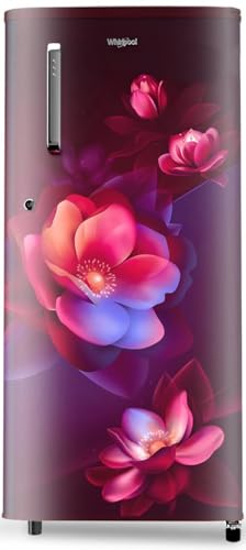 The Good Bug Metabolically Lean SuperGut Powder | HRX |Probiotics + L-Carnitine | Boosts Metabolism & Reduces Cravings |6X Probiotic Activity | For Men & Women | 30 Days Pack