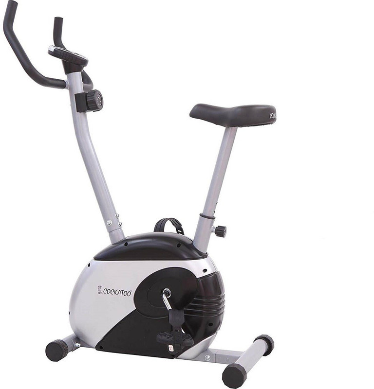 COCKATOO CUB-01 Smart Series Upright Bike(2 Year Warranty) Upright Stationary Exercise Bike(Multicolor)