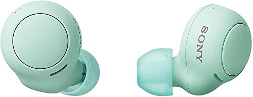 Noise Buds VS104 Truly Wireless Earbuds with 45H of Playtime, Quad Mic with ENC, Instacharge(10 min=200 min), 13mm Driver,Low Latency, BT v5.2 (Mint Green)
