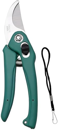 RERANT Hand Pruner Cutter – 1 Pc, Heavy Duty Gardening Tools Grass Cutter, Plant Cutter for Home Garden, Wood Branch Trimmer, Garden Tools Grass Cutting Accessories (Steel Blades, Assorted)