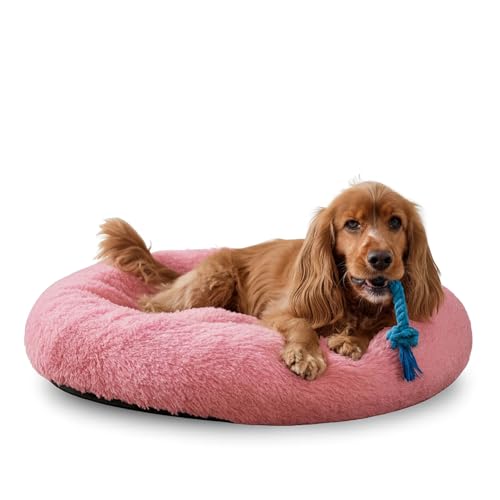 Armani Exchange Aeroracer Analog Gold Dial Men’s Watch – AX1752