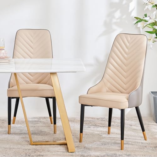 NIKE NIKE COURT VISION LO Sneakers For Men(Green , 10)