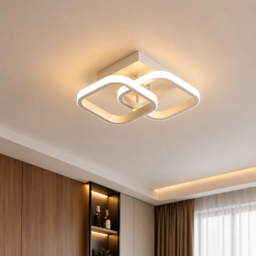 Desidiya 22W LED Ceiling Light, Modern 2 Square Flush Mount, 3 Color Changing (Warm White, Natural White, Cool White), Acrylic Surface Light for Bedroom, Living Room, Hall, False Ceiling