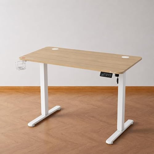 CELLBELL Ergolift Ergonomic Electric Height Adjustable Desk for Office & Work From Home | Motorized Sit Stand Table with Digital Display, Memory Presets, One-Piece Top | 3-Year Warranty (Wooden White)